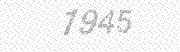Visual security code — type the characters shown in the image