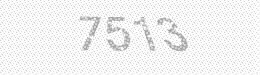 Visual security code — type the characters shown in the image